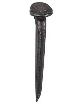 BLISTER 24 TACHUELAS CELOSIA NEGRA 6x10mm
