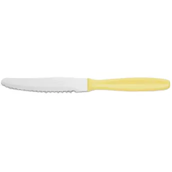 CAJA 12 CUCHILLOS POSTRE 105mm PLASTICO 370100 ARCOS