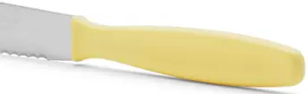 CAJA 12 CUCHILLOS POSTRE 105mm PLASTICO 370100 ARCOS
