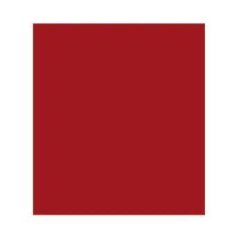 SPRAY ESMALTE ROJO VIVO 200ml F-1450 FELTON