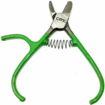 TIJERA CORTA NARANJA CITRIC C1 NULES