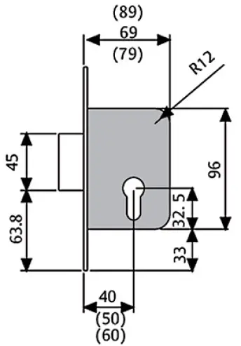 CERRADURA 203140HL LATONADO TESA