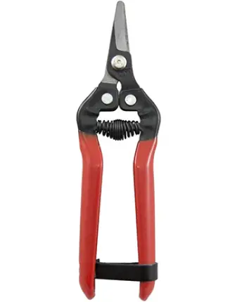 TIJERA CORTA NARANJA RECOLECTORA CURVA 17cm 1280 ALTUNA