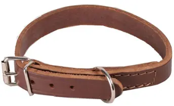 COLLAR PERRO 11x300mm 00001.6 HERSOL