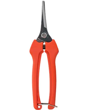 TIJERA VENDIMIA 19cm P128-19 RECTA BAHCO