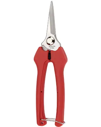 TIJERA RECOLECTORA HOJA INOX RECTA 18,6cm 23624 BELLOTA